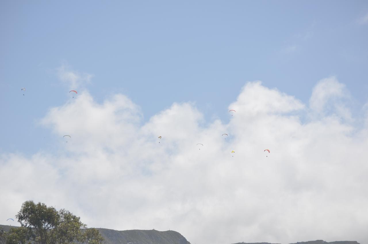 Harmony Place Hotel Hermanus Buitenkant foto